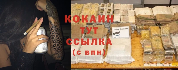 не бодяженный Бородино